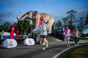 BIB: 
                            <button type="button" onclick="openModal(26541802)" class="btn btn-primary btn-sm float-right btn-popup" data-toggle="modal" data-target=".modal-high-quality">
                        <i class="fas fa-shopping-cart"></i> Add to Cart
                    </button>
                                            <button type="button" onclick="isThisMe(26541802, true)" class="btn btn-success btn-sm float-right btn-popup btn-isme hidden" data-toggle="tooltip" data-placement="bottom" title="นี่คือรูปของคุณใช่ไหม คลิกที่นี่เพื่อเอาเข้าอัลบั้ม">
                        <i class="fas fa-plus"></i> Add to album
                    </button>
                    <button type="button" onclick="isThisMe(26541802, false)" class="btn btn-warning btn-sm float-right btn-popup btn-isnotme hidden">
                        <i class="fas fa-ban"></i> Remove from album
                    </button>